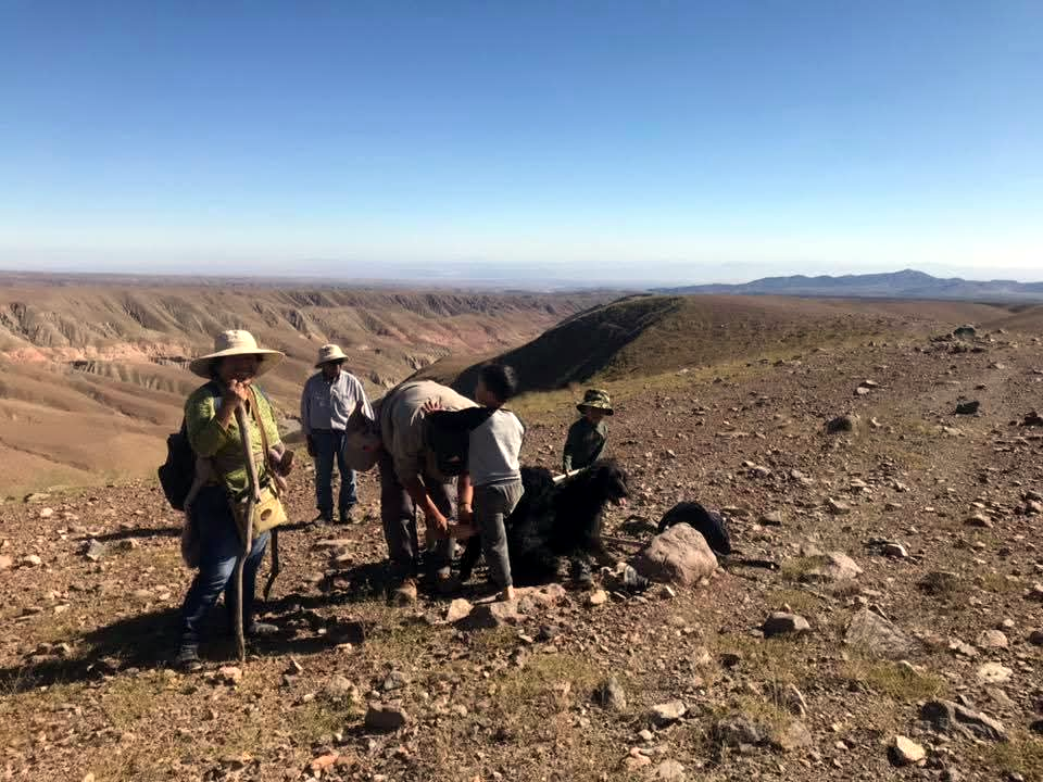 REGRESANDO A NUESTRO AYLLU IMAGUA
